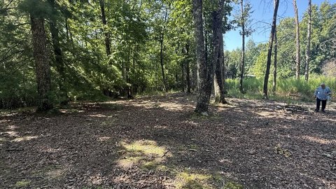 Vacant Lot, Blairsville, GA