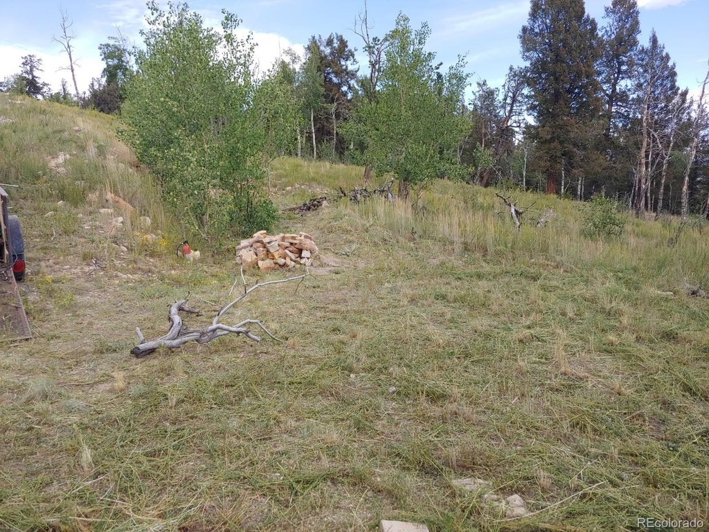 Picture 3