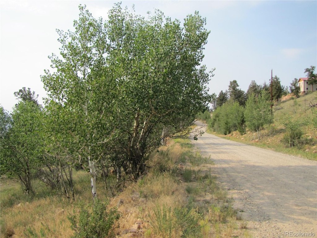 Picture 20