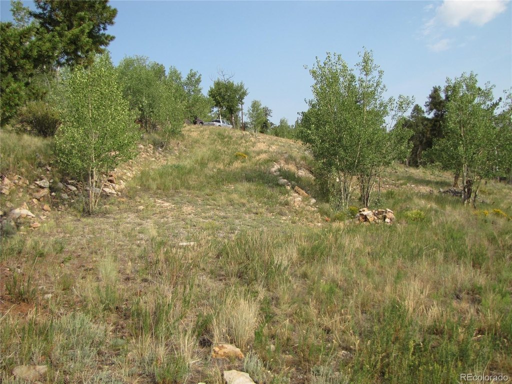 Picture 19