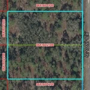 Land, DUNNELLON, FL