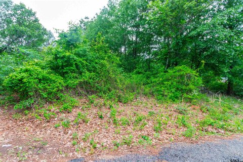Tyler Land Opportunity