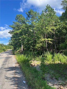 14.9 Acres of Wooded Land