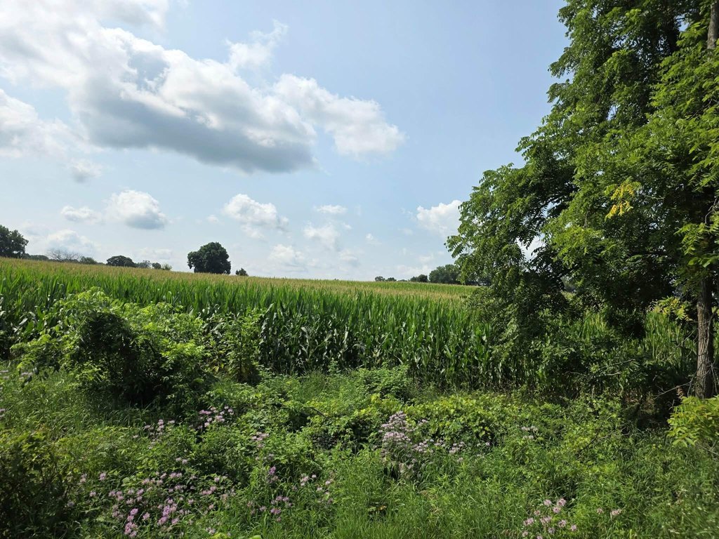Picture 21