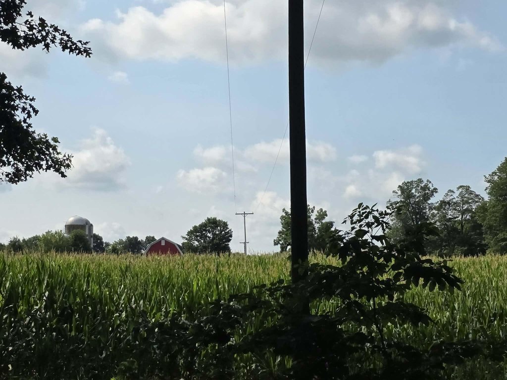 Picture 22