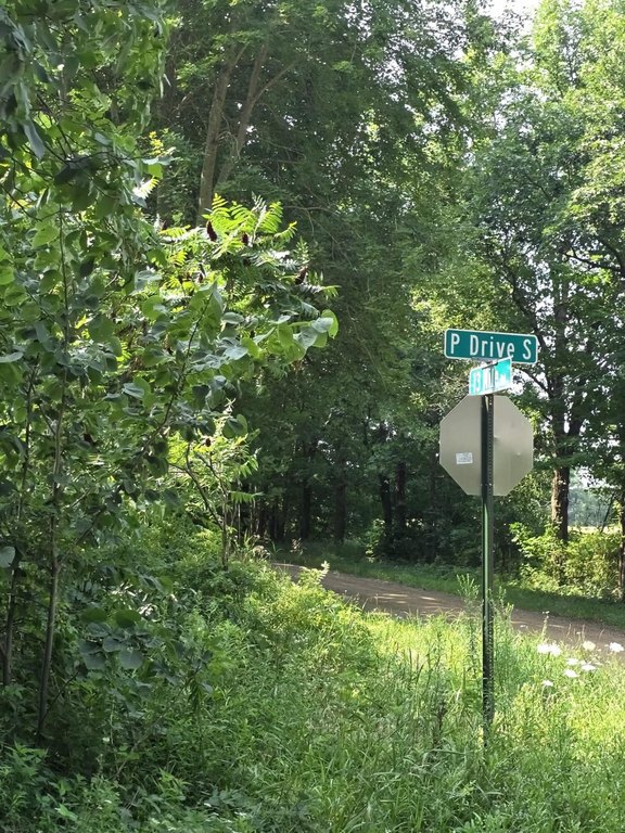 Picture 19