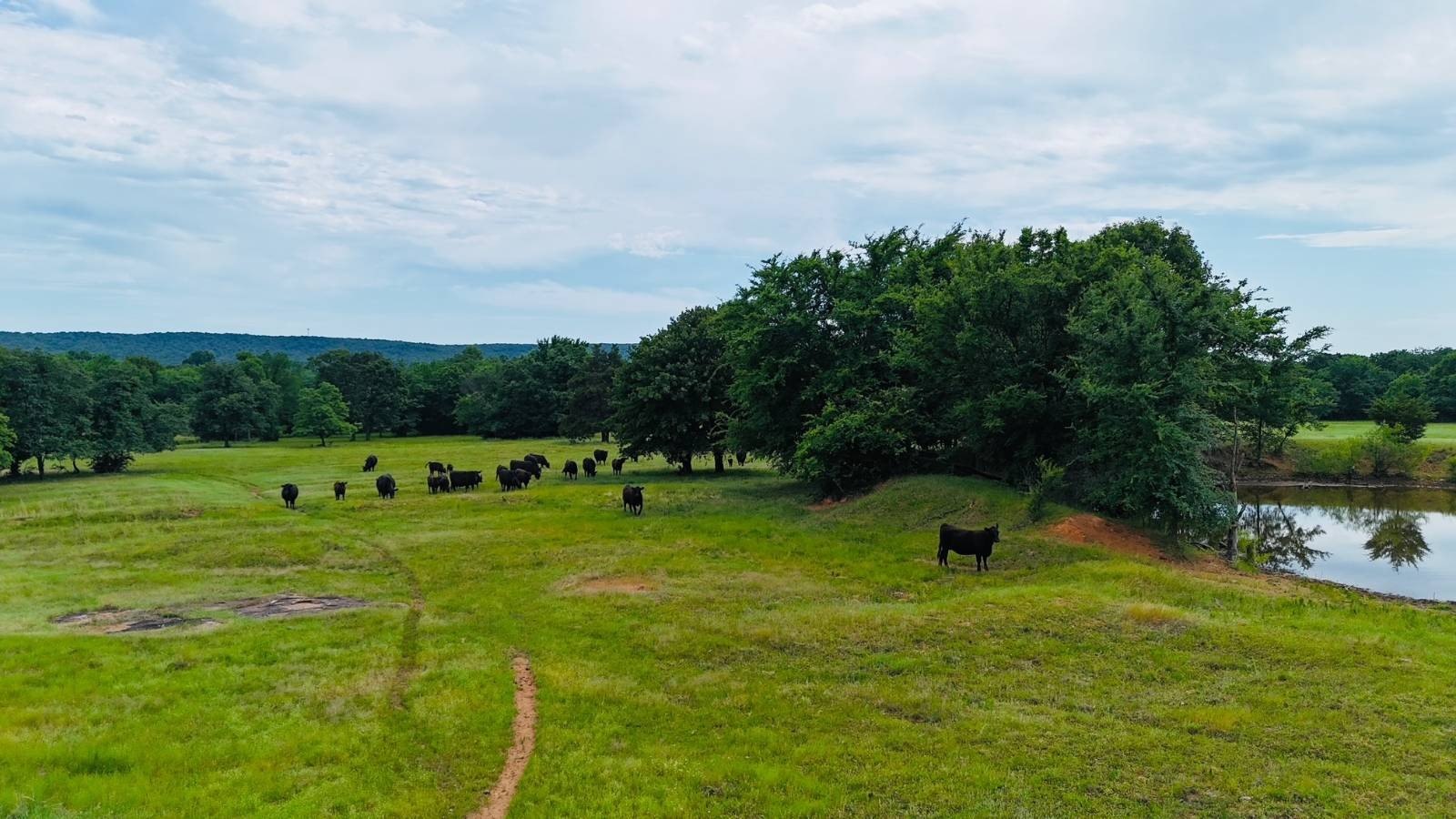 65 Acres Near Eufaula Lake