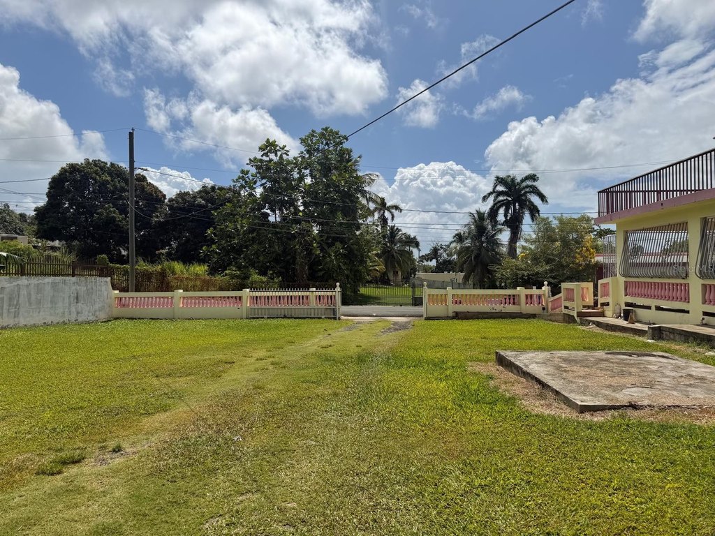 Picture 37