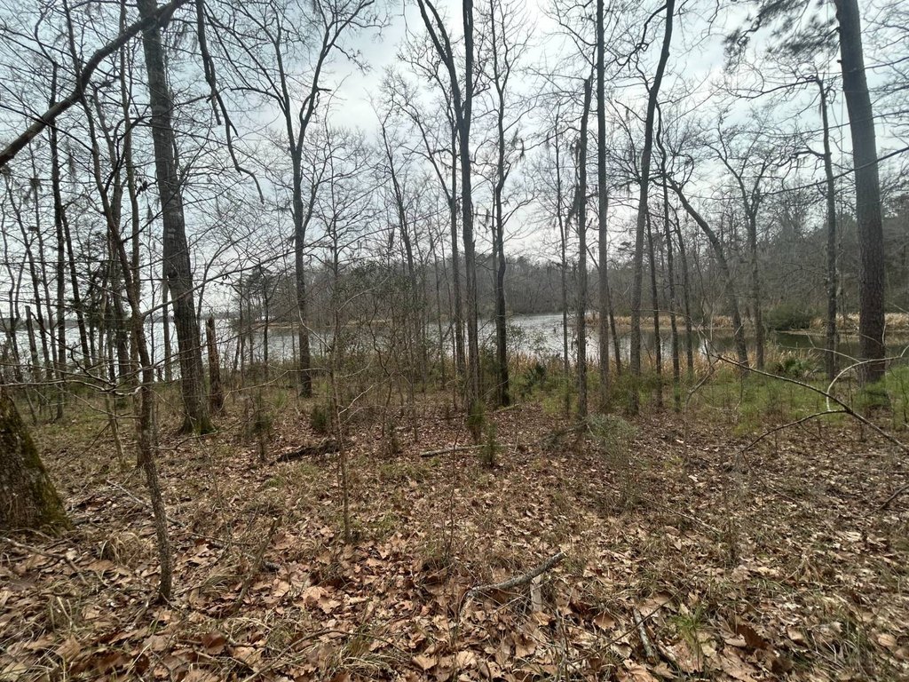 Picture 4