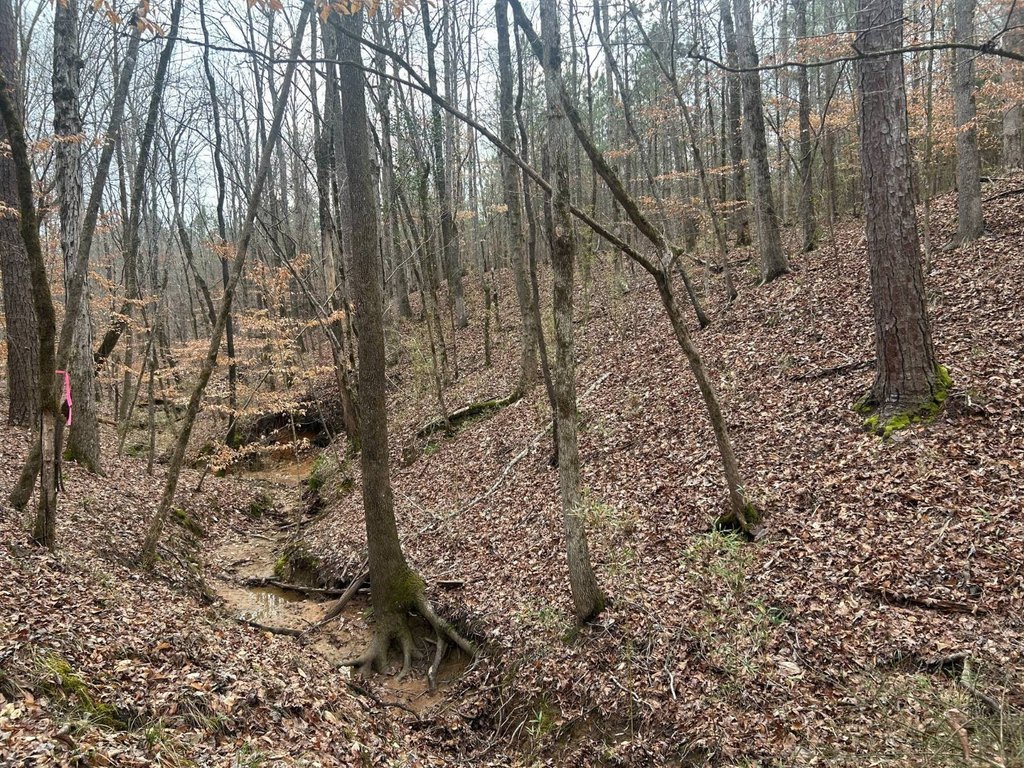 Picture 23