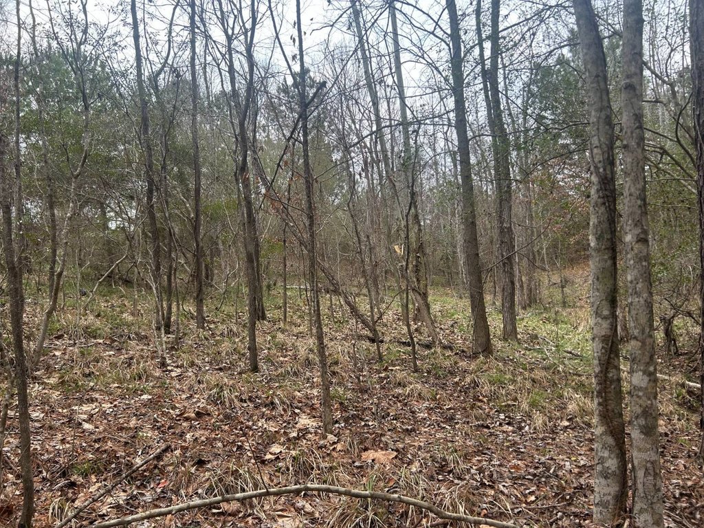 Picture 16