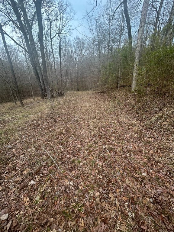 Picture 7