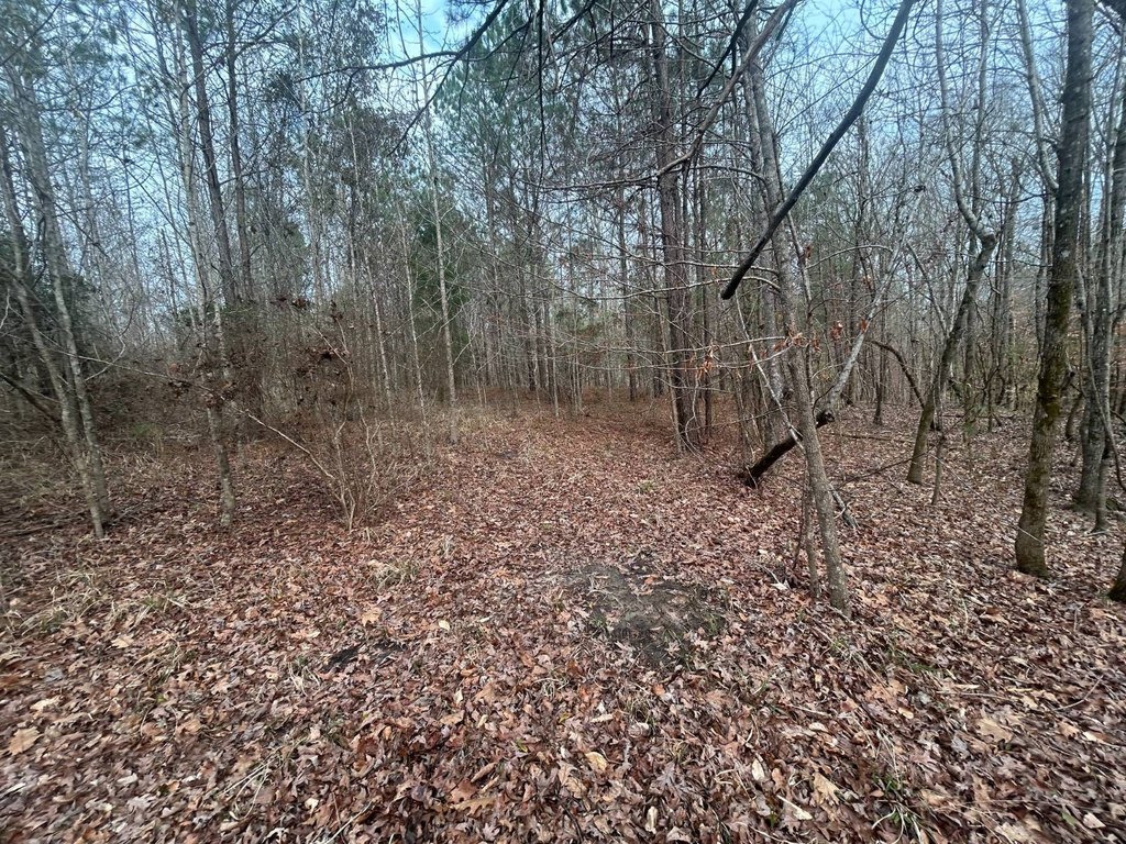 Picture 25