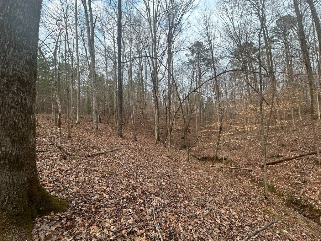 Picture 24