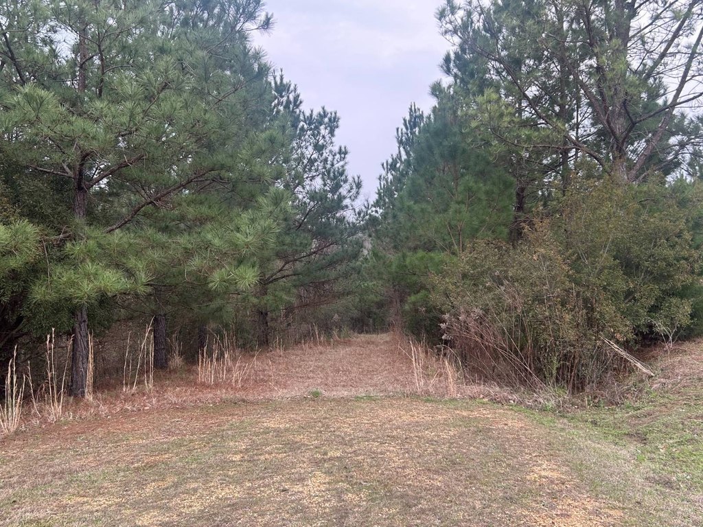 Picture 22