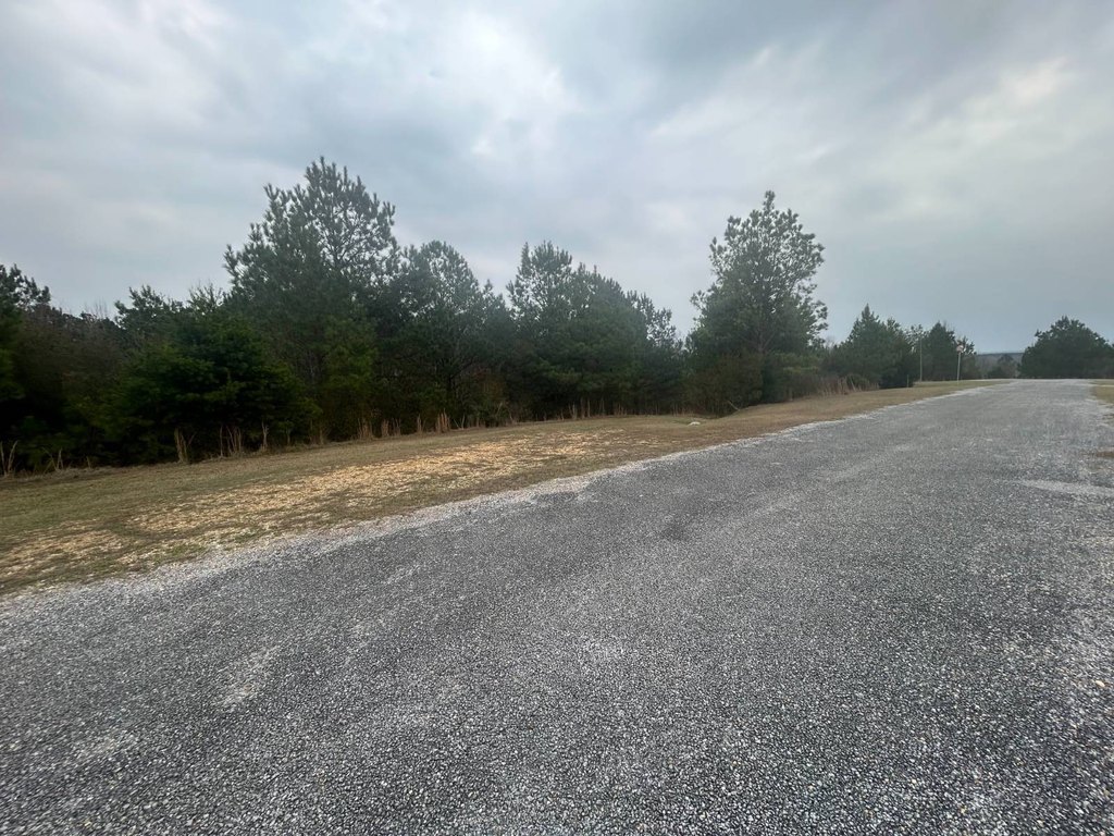 Picture 21