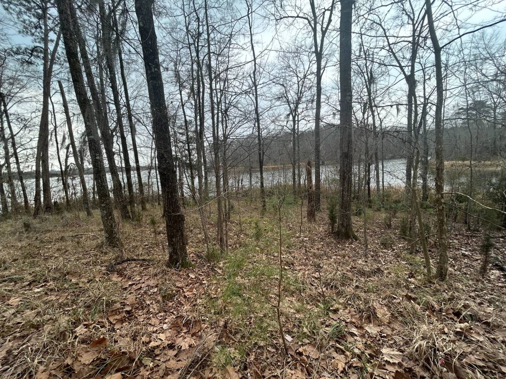 Picture 3