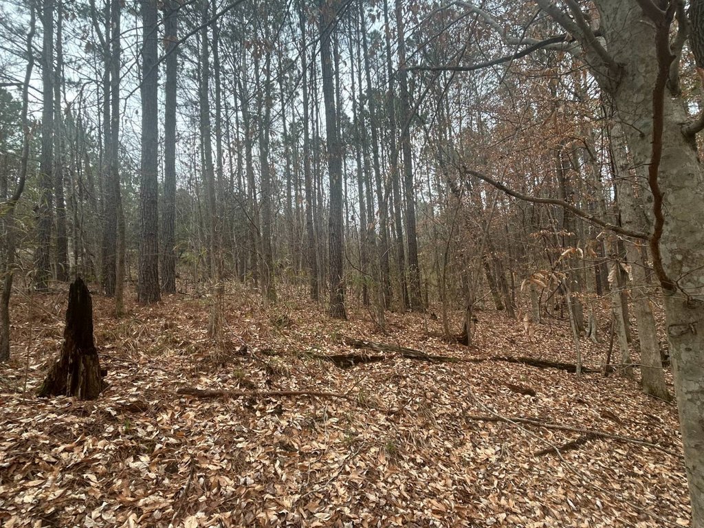 Picture 14