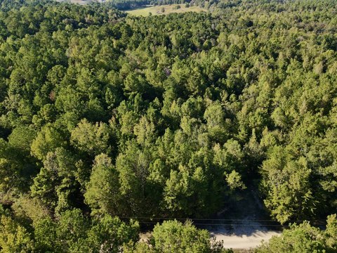 Clanton, AL Vacant Land