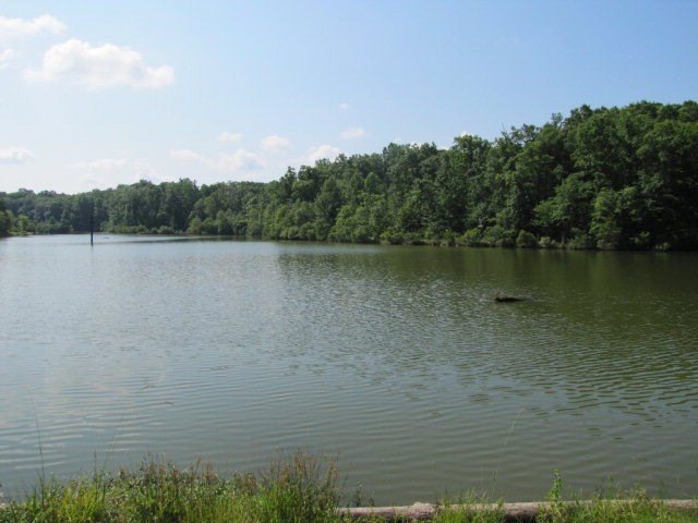 Picture 24