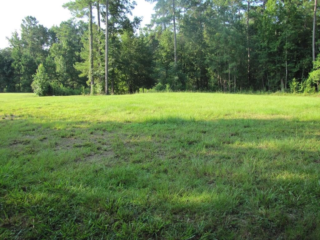 Picture 37