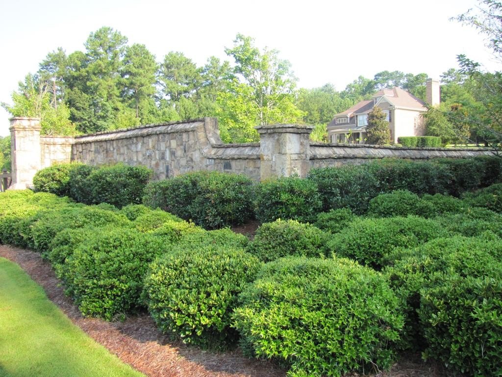 Picture 38