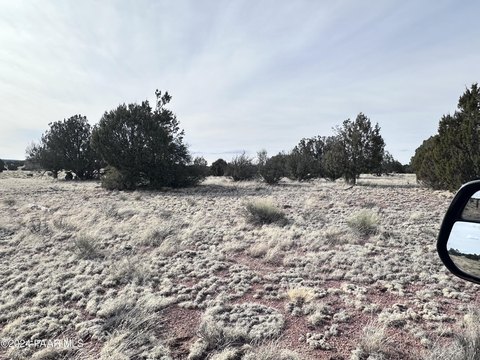40 Acres in Seligman, Arizona