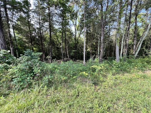 Residential Lot in Bridgewater Pointe