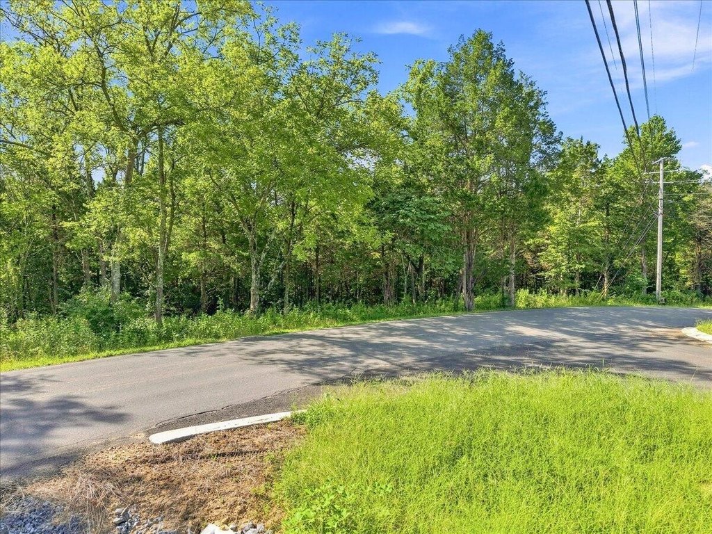 Picture 23