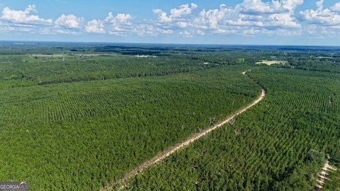 7 Acres Near Altamaha River