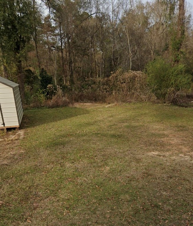 Picture 3