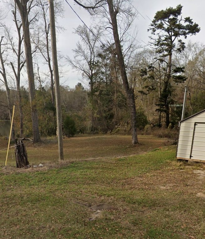 Picture 2