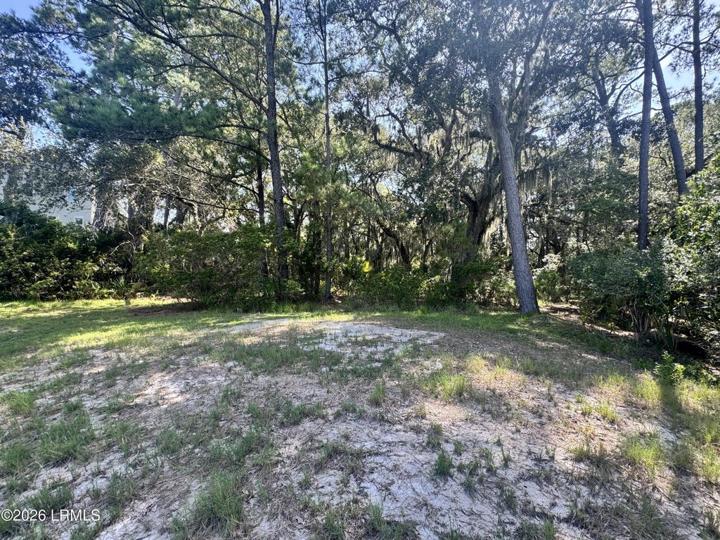 Picture 12