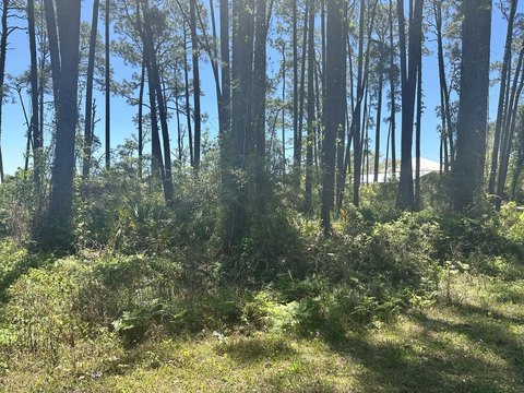Land, Carrabelle, FL