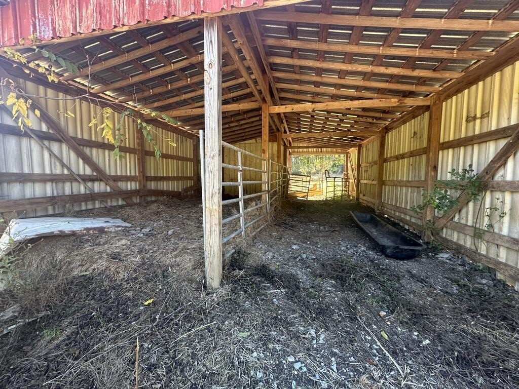 Picture 46