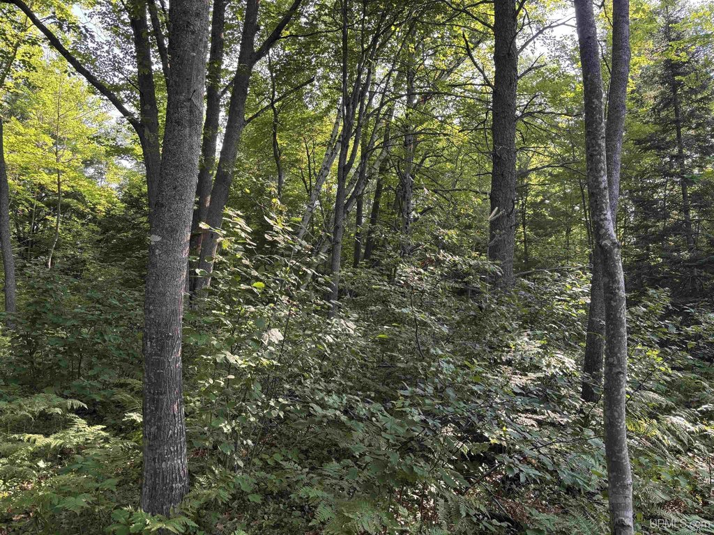 Picture 17