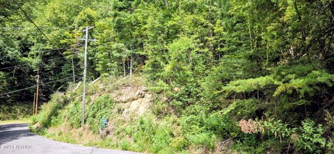 Lots & Acreage, Sevierville, TN
