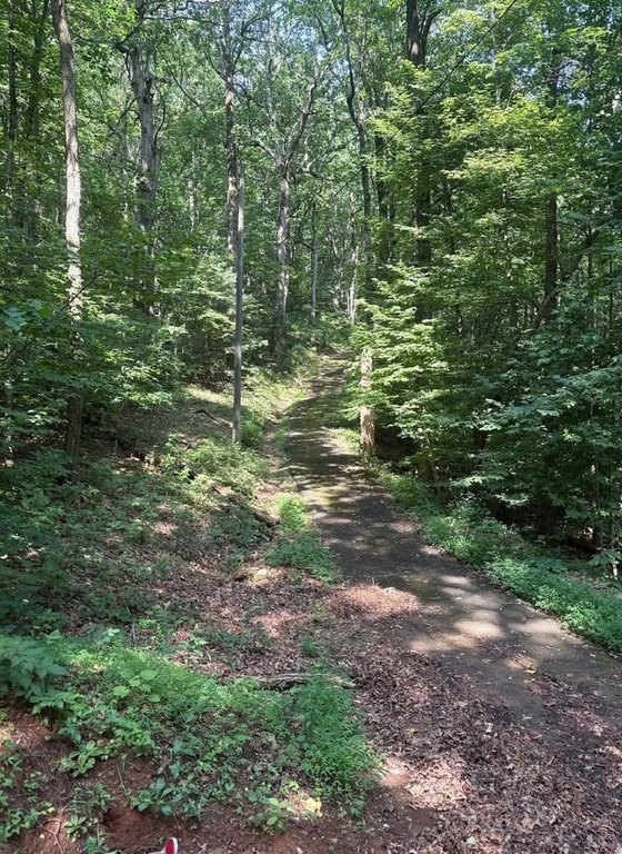 Picture 4