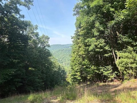 LAND - Jasper, GA