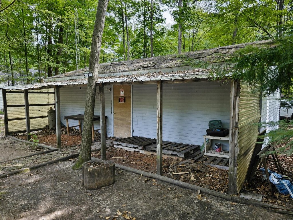 Picture 5