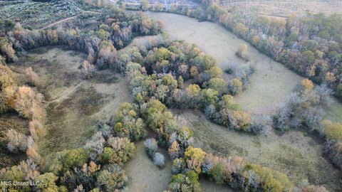 Wesson Land with Pastureland, Hardwoods