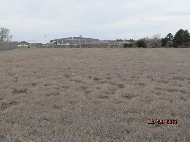 Picture 3