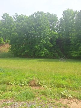 Residential Land Lot in Subdivision