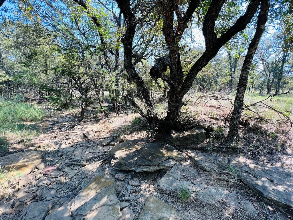 Picture 24