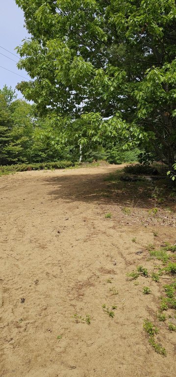 Picture 3
