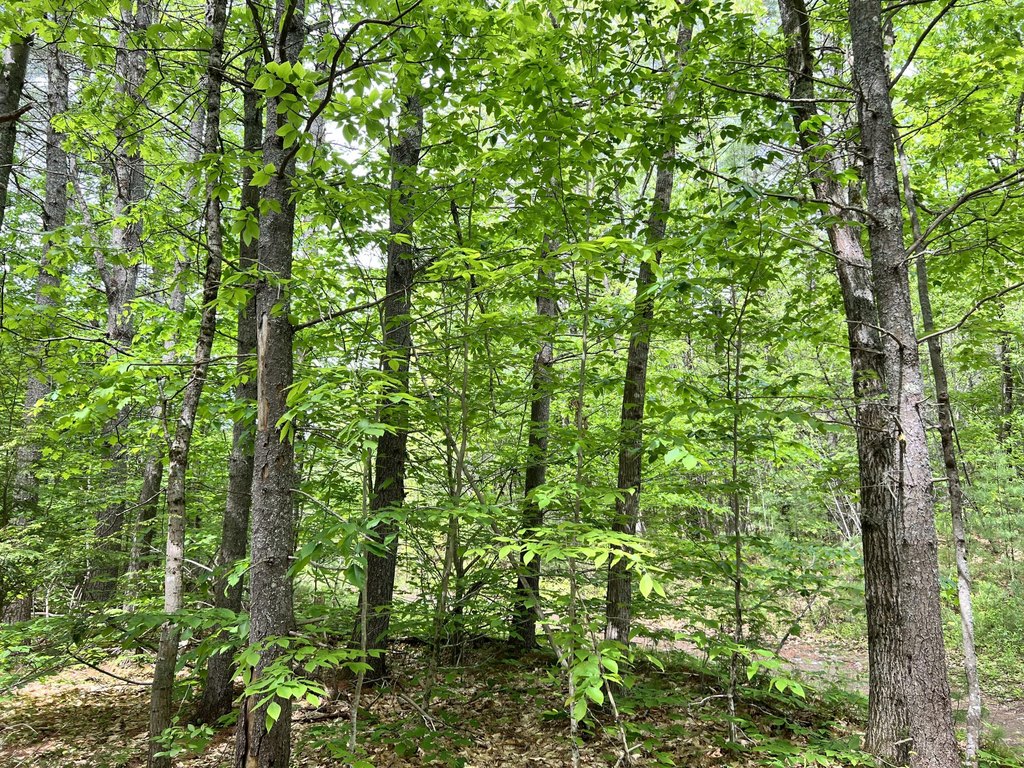 Picture 8