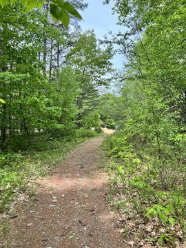 LAND - Topsham, ME
