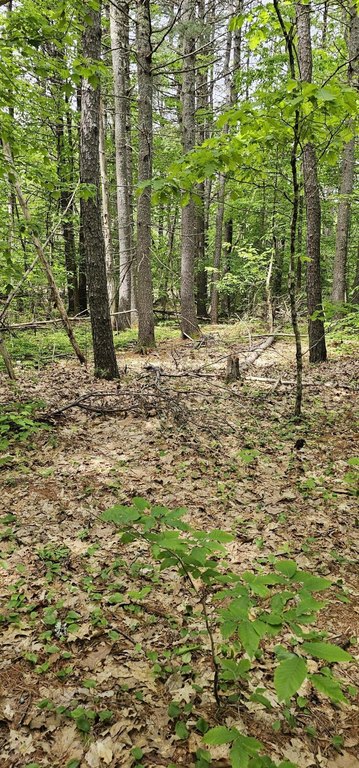Picture 23