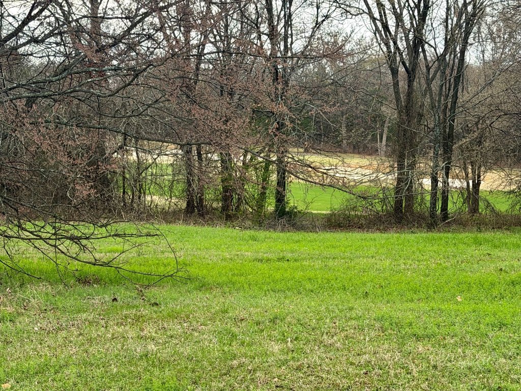 Picture 3