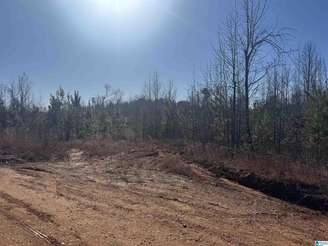 LAND - ROANOKE, AL